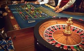 559bet