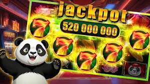 559bet