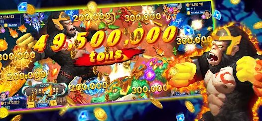 559bet